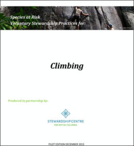 ClimbingPilot