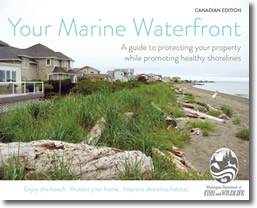 MarineWaterfront_CDNed