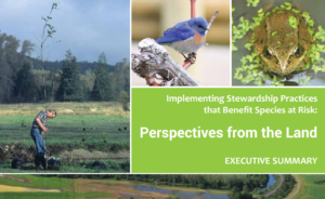 Perspectives from the Land Executive Summary