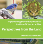 Perspectives from the Land Executive Summary