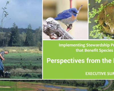 Perspectives from the Land Executive Summary