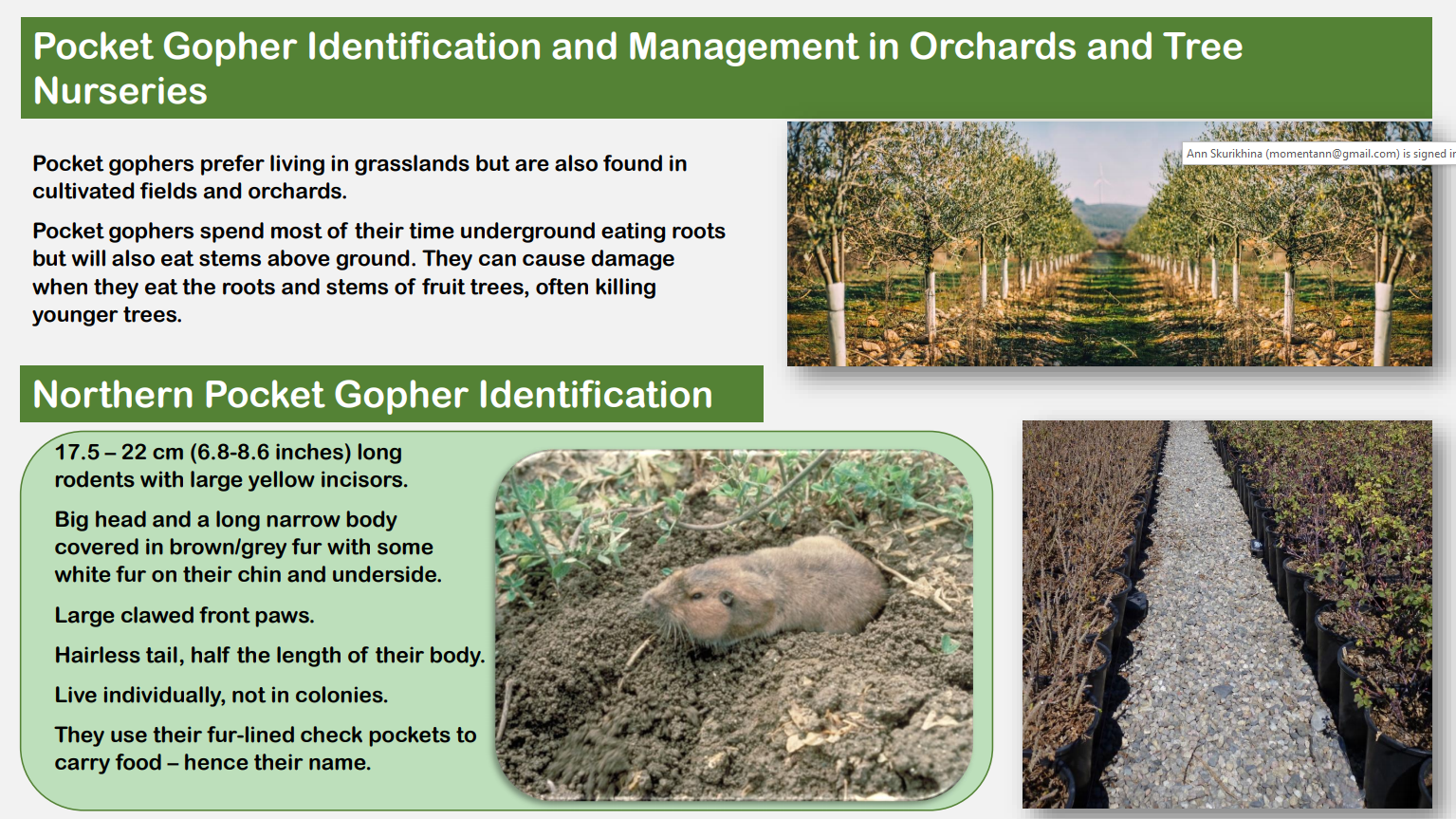 Best Practices to Control Rodents - Stewardship Centre for BC