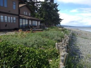 Island Highway Site Before Green Shores Certification.