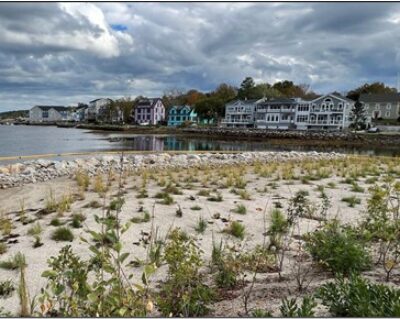 Photo of post-hurricane living shoreline