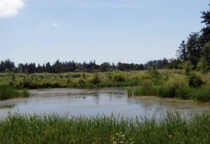 Colquitz Park, Saanich