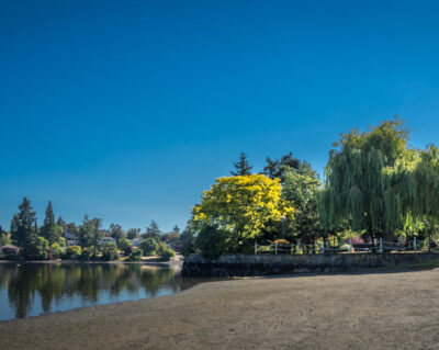 Esquimalt Gorge Park Green Shores Demonstration Project