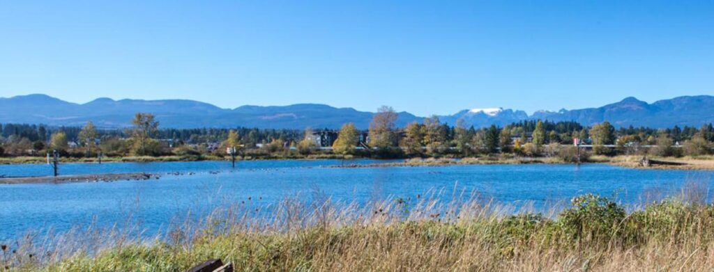 View from Dyke Road Park Green Shores Demonstration Site