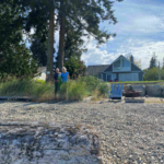 Higson Crescent shoreline property with native plantings and natural beach profile