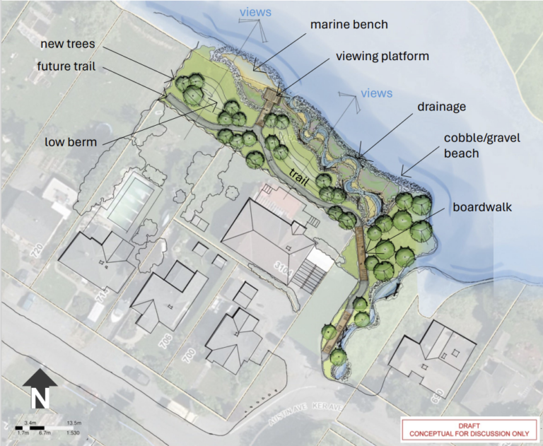 Colquitz Park Green Shores Conceptual Design Illustration Spring 2024 - Not finalized