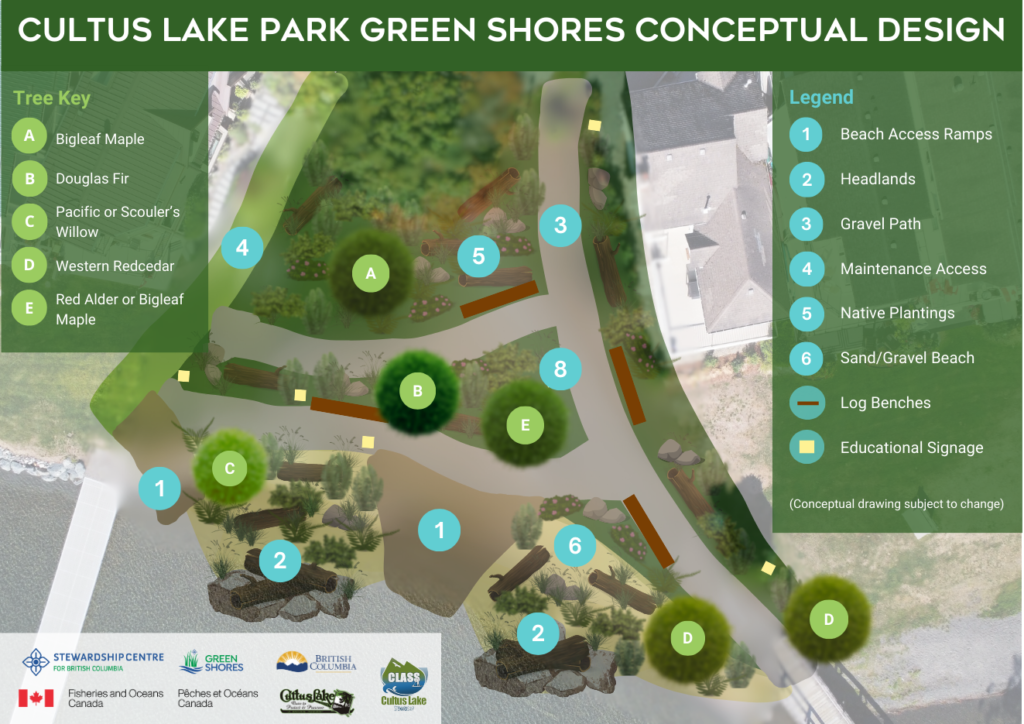 Artists rendition of Cultus Lake Park Green Shores restoration project conceptual design with legend and keys