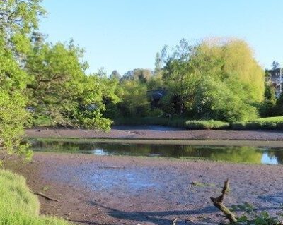 Image of Colquitz Park Shoreline on the Colquitz River