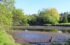 Image of Colquitz Park Shoreline on the Colquitz River