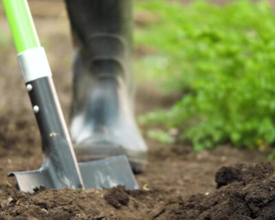 Image of volunteer planting at community event